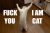 fuck-you-i-am-cat.jpg